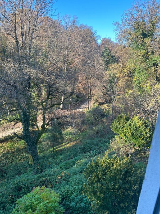 Apartament Historic Center-lovely Nature *