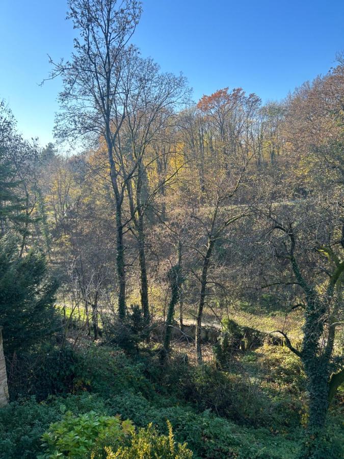 Historic Center-lovely Nature Zagreb